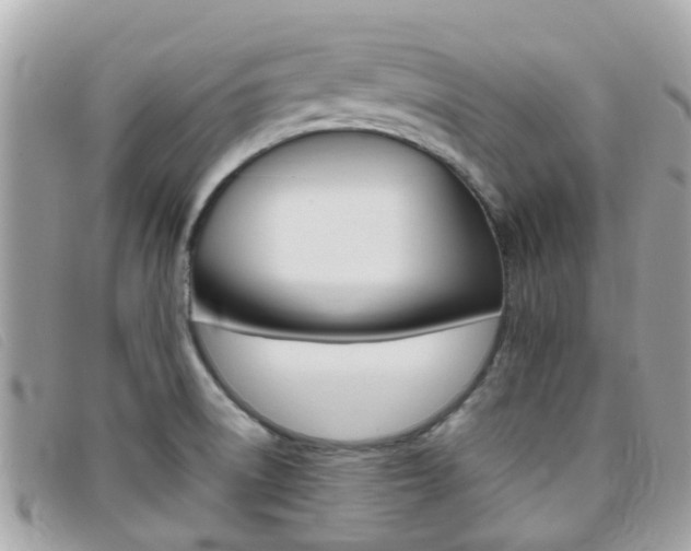 X0000095951522200801110905