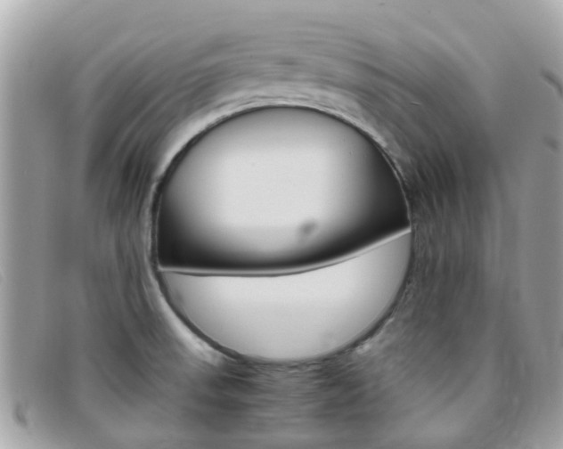 X0000095951523200801110905