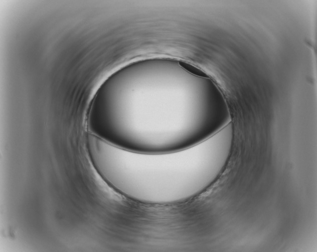 X0000095951524200801110905