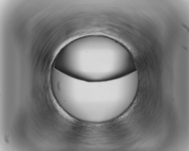 X0000095951526200801110905