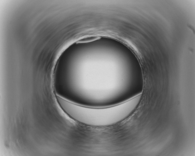 X0000095951528200801110905