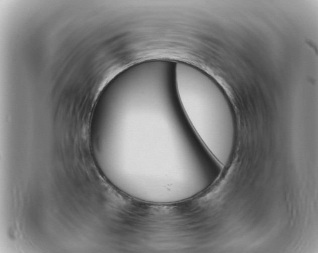 X0000095951529200801110905