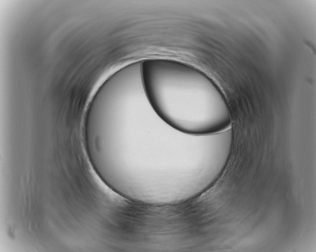 X0000095951531200801110905