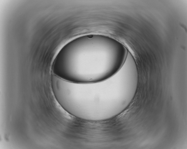 X0000095951532200801110905