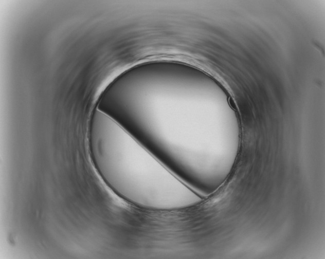 X0000095951533200801110905