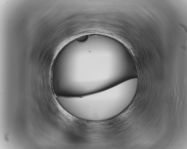 X0000095951535200801110905