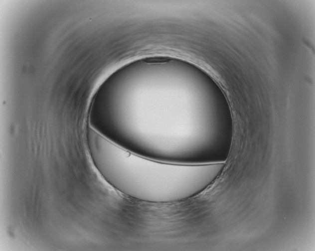 X0000095951536200801110905