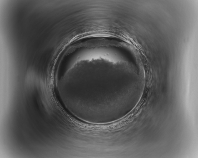 X0000095950002200801111359