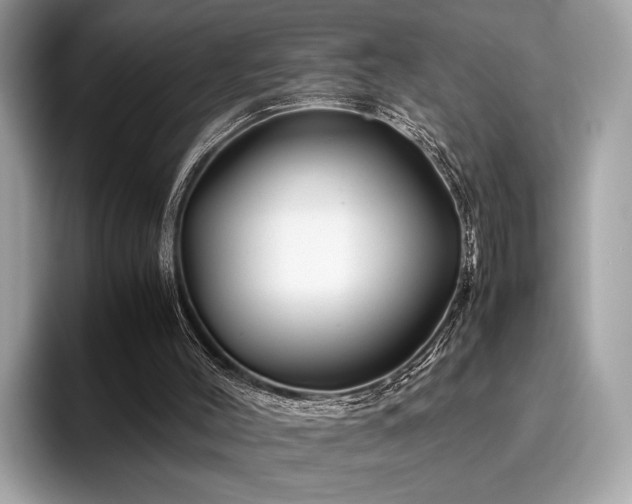 X0000095950004200801111359