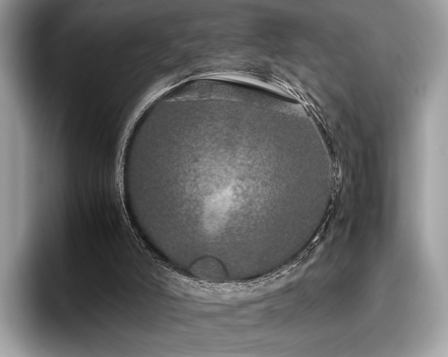 X0000095950006200801111359