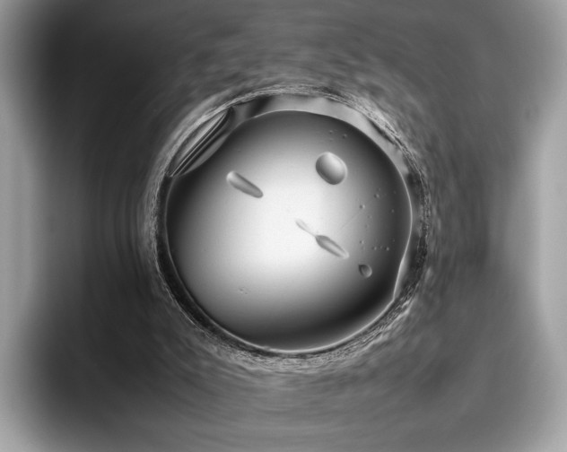 X0000095950007200801111359