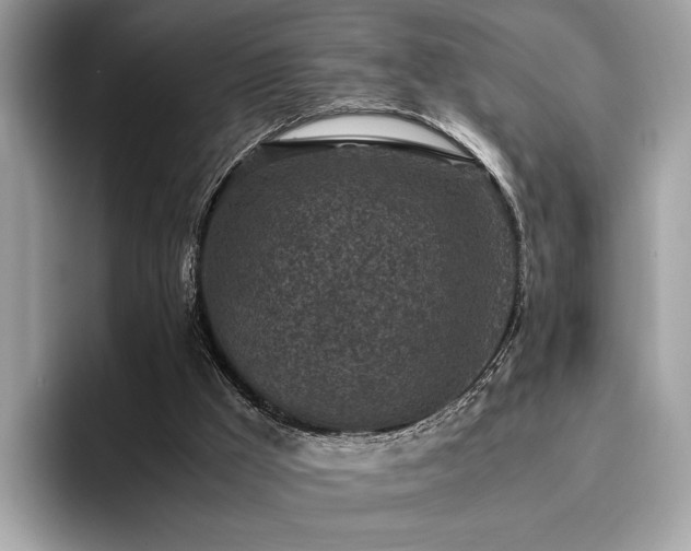 X0000095950009200801111359