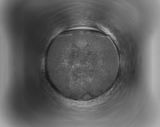 X0000095950010200801111359