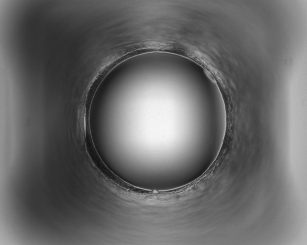 X0000095950011200801111359