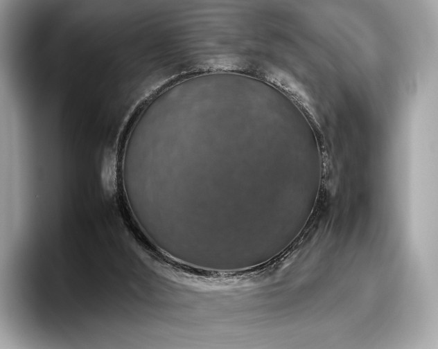 X0000095950012200801111359