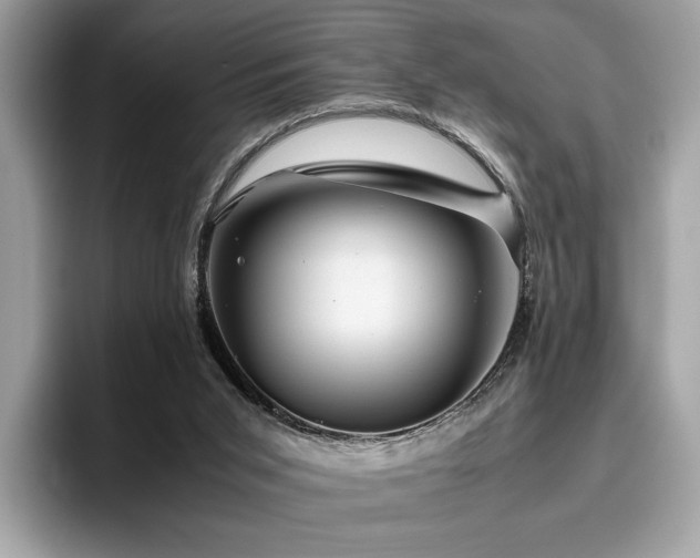 X0000095950015200801111359