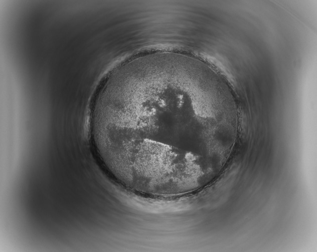 X0000095950016200801111359