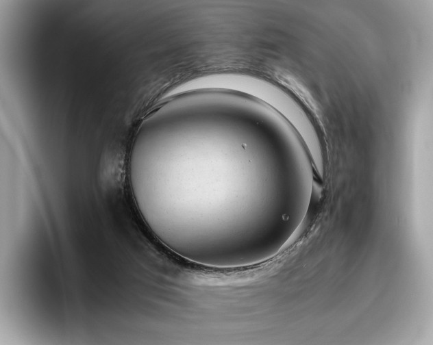 X0000095950017200801111359