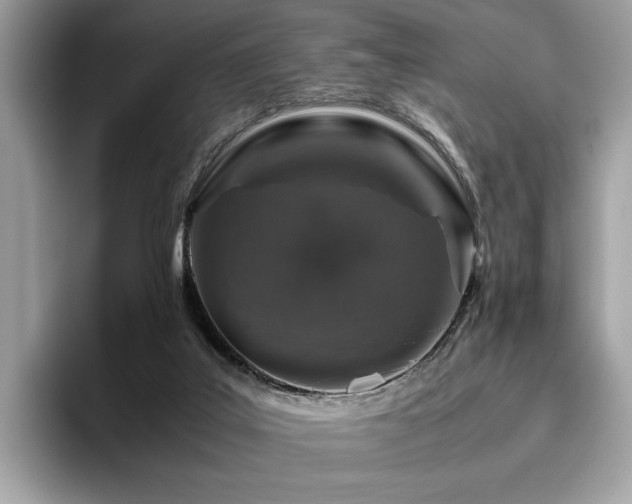 X0000095950019200801111359