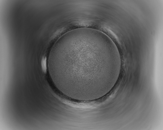 X0000095950020200801111359