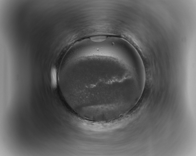 X0000095950022200801111359