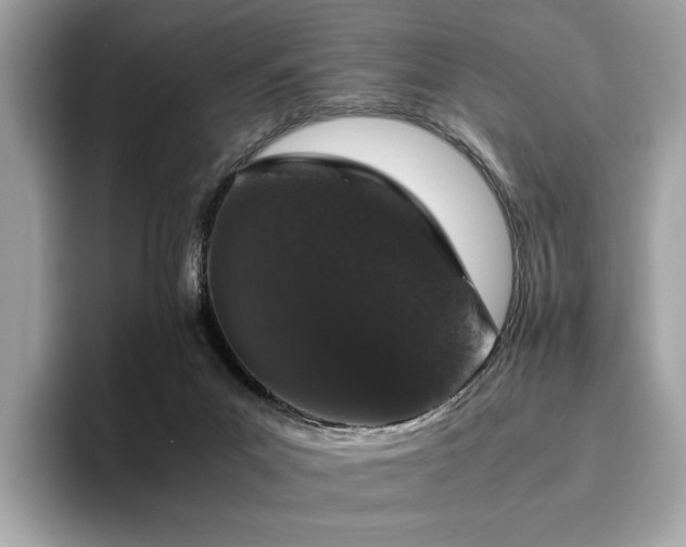 X0000095950023200801111359