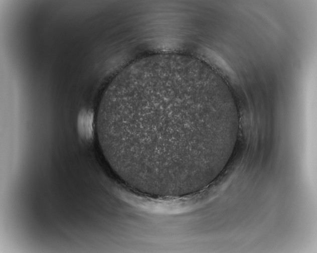 X0000095950024200801111359