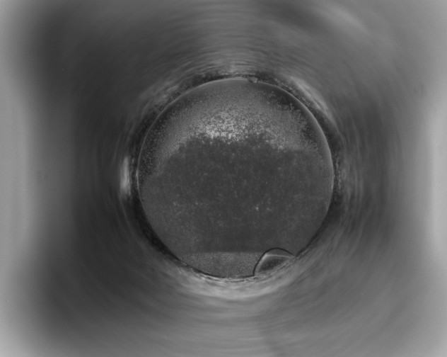 X0000095950026200801111359