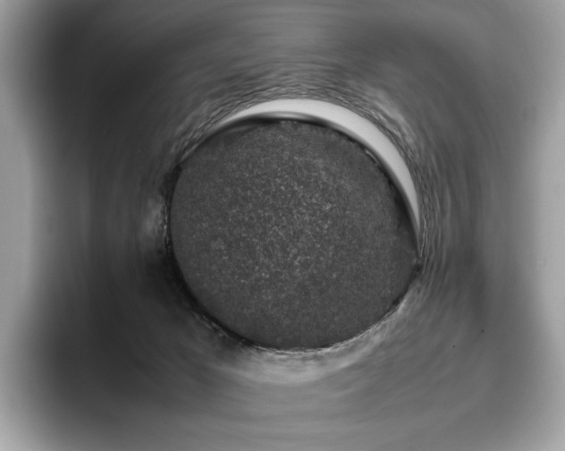 X0000095950029200801111359