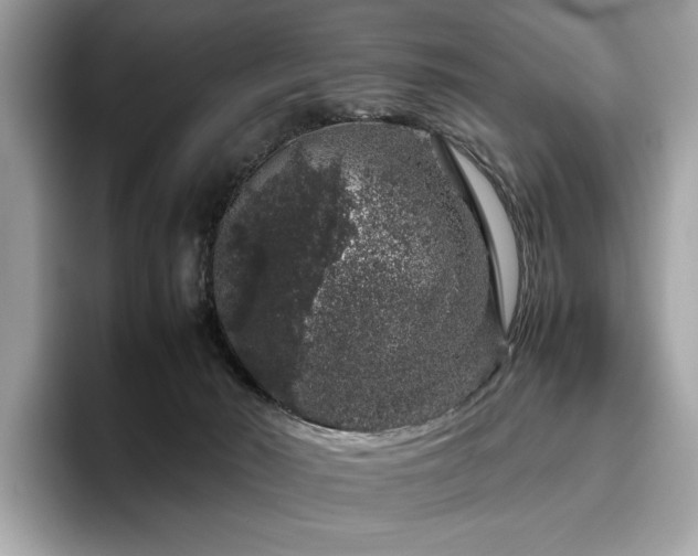 X0000095950030200801111359