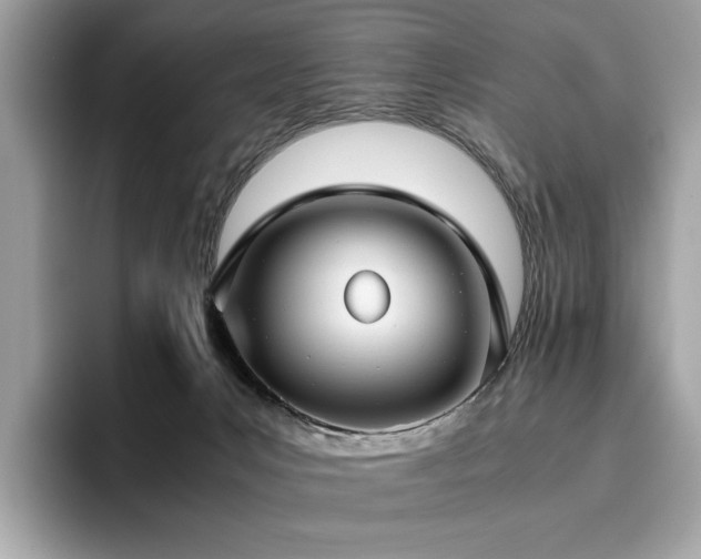 X0000095950031200801111359