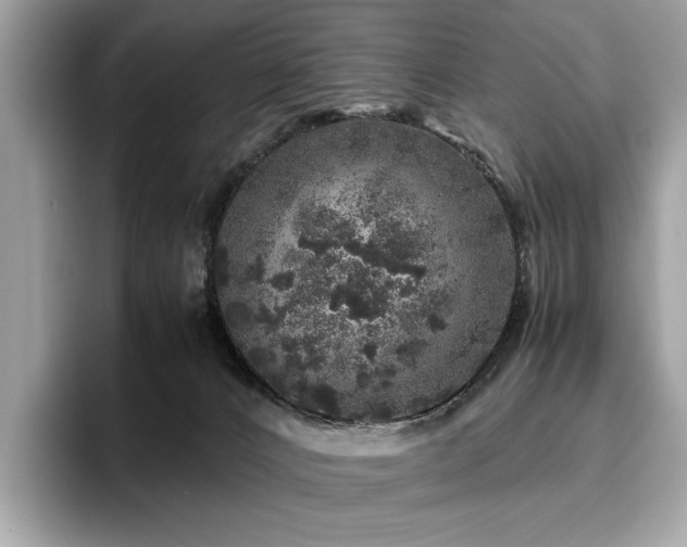 X0000095950032200801111359