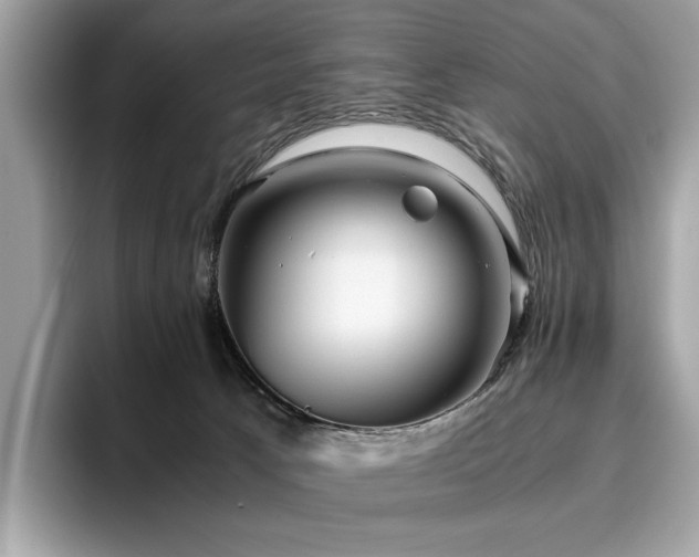 X0000095950033200801111359