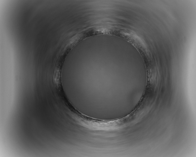 X0000095950036200801111359