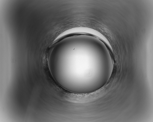 X0000095950037200801111359