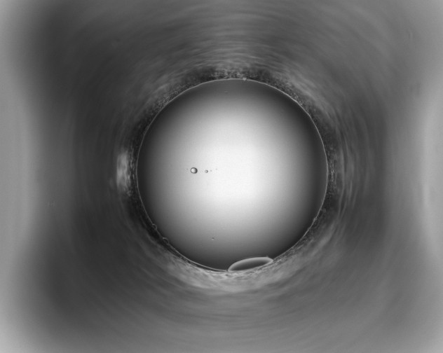 X0000095950038200801111359