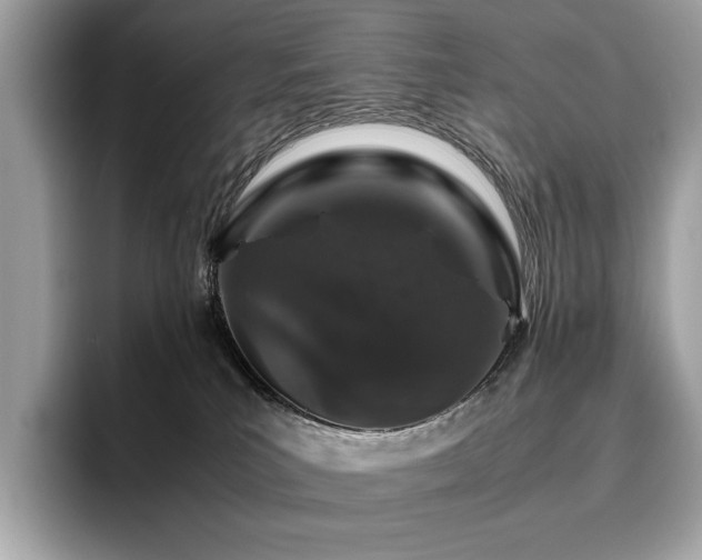 X0000095950039200801111359