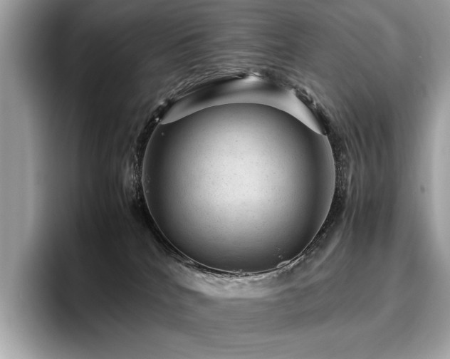 X0000095950040200801111359