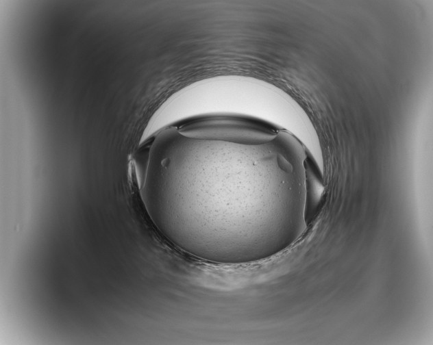 X0000095950041200801111358