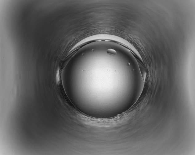 X0000095950042200801111358