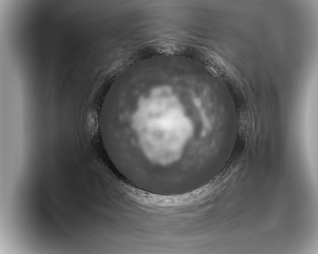 X0000095950043200801111358