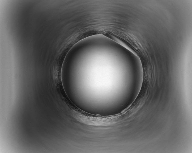 X0000095950044200801111358