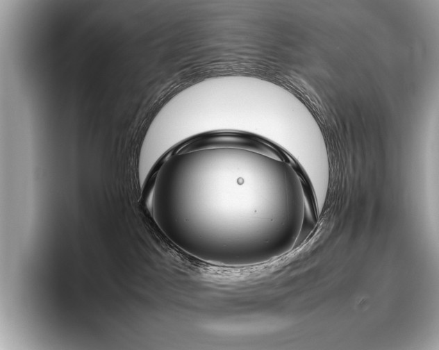 X0000095950045200801111358
