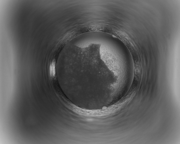 X0000095950046200801111358