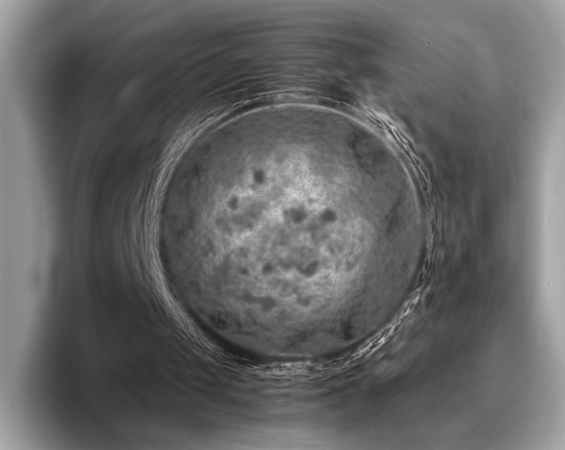 X0000095950049200801111358
