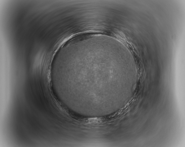 X0000095950050200801111358