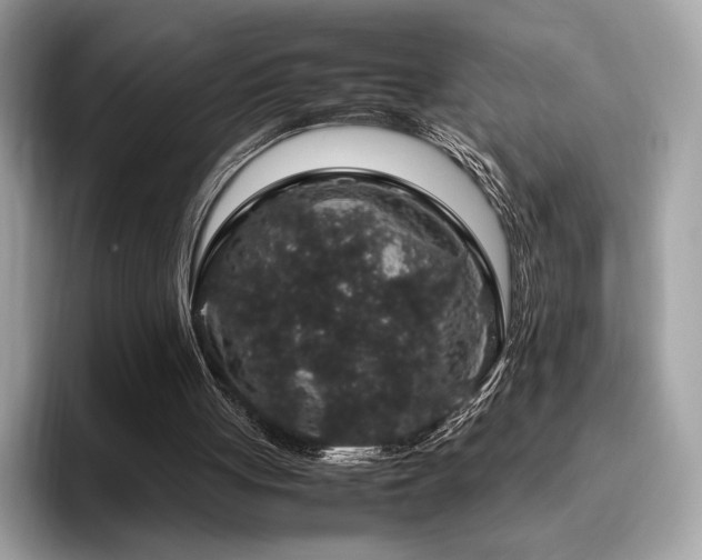 X0000095950051200801111358