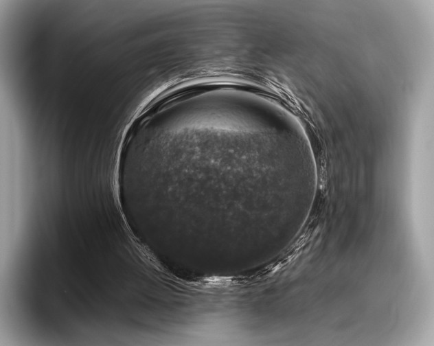 X0000095950052200801111358