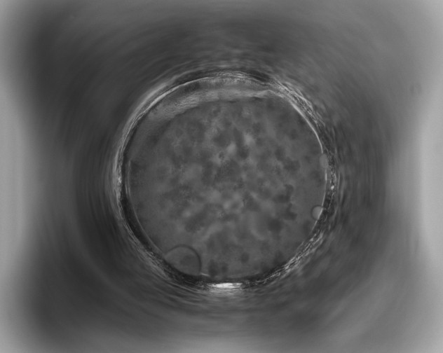 X0000095950053200801111358