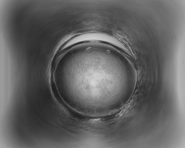 X0000095950054200801111358